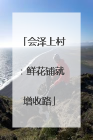 会泽上村：鲜花铺就增收路