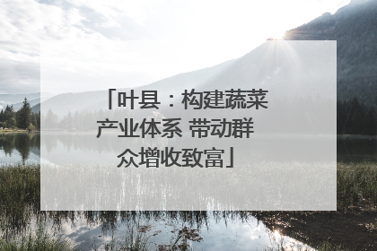 叶县：构建蔬菜产业体系 带动群众增收致富