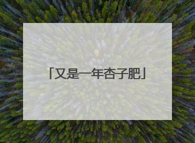 又是一年杏子肥