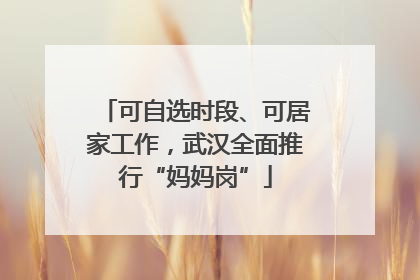 可自选时段、可居家工作，武汉全面推行“妈妈岗”