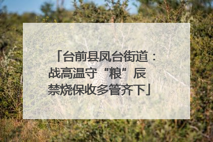 台前县凤台街道：战高温守“粮”辰 禁烧保收多管齐下