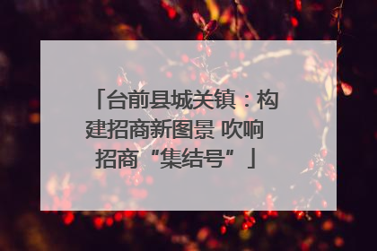 台前县城关镇：构建招商新图景 吹响招商“集结号”