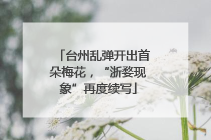 台州乱弹开出首朵梅花，“浙婺现象”再度续写
