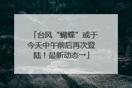 台风“蝴蝶”或于今天中午前后再次登陆！最新动态→