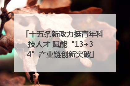 十五条新政力挺青年科技人才 赋能“13+34”产业链创新突破