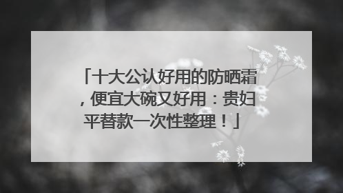 十大公认好用的防晒霜，便宜大碗又好用：贵妇平替款一次性整理！