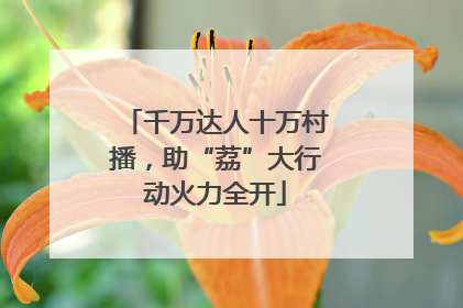 千万达人十万村播,助“荔”大行动火力全开