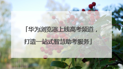 华为浏览器上线高考频道，打造一站式智慧助考服务