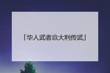 华人武者意大利传武