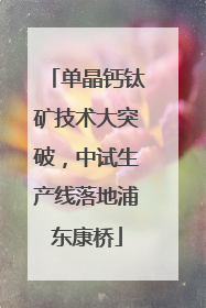 单晶钙钛矿技术大突破，中试生产线落地浦东康桥