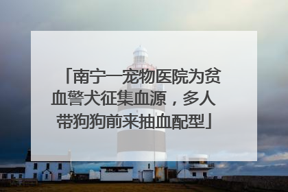 南宁一宠物医院为贫血警犬征集血源，多人带狗狗前来抽血配型