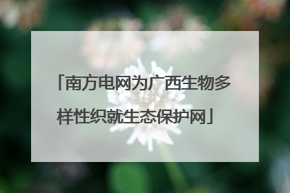 南方电网为广西生物多样性织就生态保护网