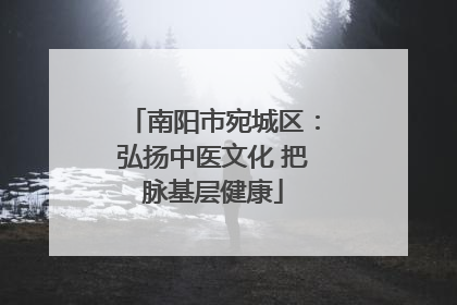 南阳市宛城区：弘扬中医文化 把脉基层健康