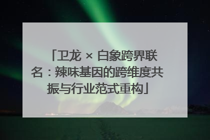 卫龙 × 白象跨界联名：辣味基因的跨维度共振与行业范式重构