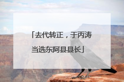 去代转正，于丙涛当选东阿县县长