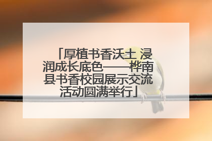 厚植书香沃土 浸润成长底色——桦南县书香校园展示交流活动圆满举行