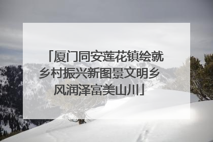 厦门同安莲花镇绘就乡村振兴新图景文明乡风润泽富美山川