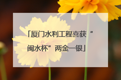 厦门水利工程喜获“闽水杯”两金一银