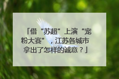 借“苏超”上演“宠粉大赛”，江苏各城市拿出了怎样的诚意？
