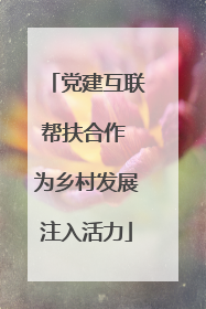 党建互联帮扶合作 为乡村发展注入活力