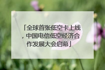 全球首张低空卡上线，中国电信低空经济合作发展大会启幕