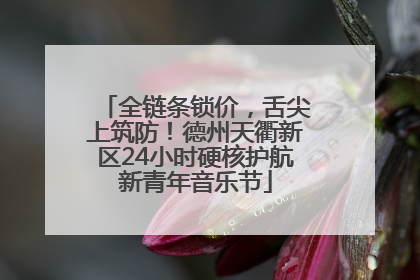 全链条锁价，舌尖上筑防！德州天衢新区24小时硬核护航新青年音乐节