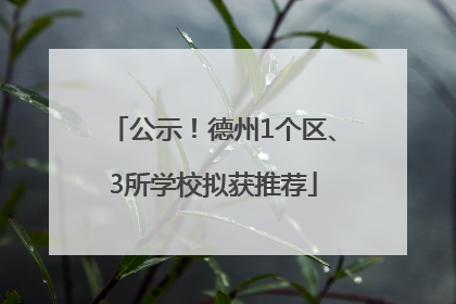 公示！德州1个区、3所学校拟获推荐