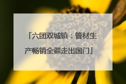 六团双城镇：管材生产畅销全疆走出国门