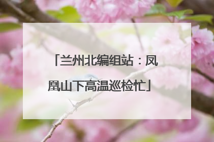 兰州北编组站：凤凰山下高温巡检忙
