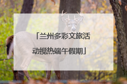 兰州多彩文旅活动搅热端午假期