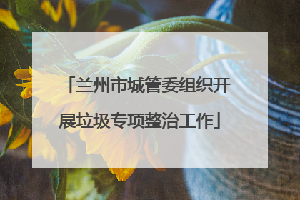 兰州市城管委组织开展垃圾专项整治工作