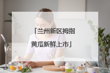 兰州新区拇指黄瓜新鲜上市
