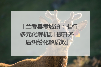 兰考县考城镇：推行多元化解机制 提升矛盾纠纷化解质效