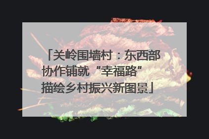 关岭围墙村：东西部协作铺就“幸福路” 描绘乡村振兴新图景