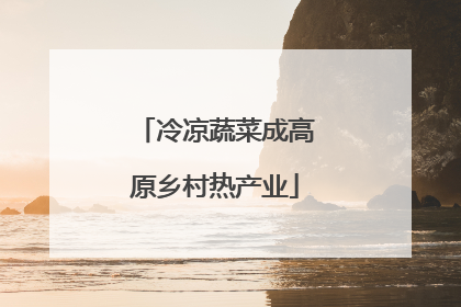 冷凉蔬菜成高原乡村热产业
