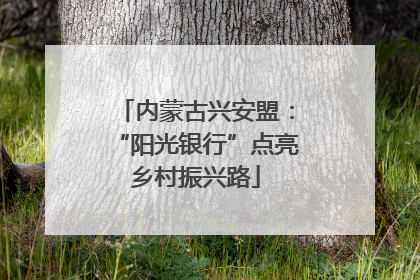 内蒙古兴安盟：“阳光银行”点亮乡村振兴路