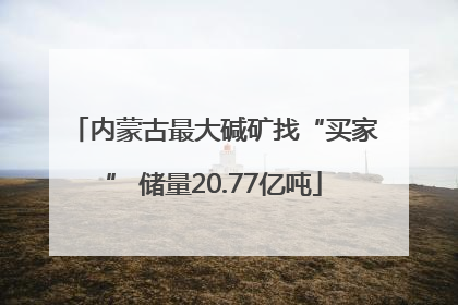 内蒙古最大碱矿找“买家” 储量20.77亿吨