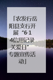 农发行岳阳县支行开展“6·14信用记录关爱日” 专题宣传活动