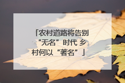 农村道路将告别“无名”时代 乡村何以“著名”