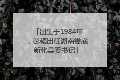 出生于1984年，彭韬出任湖南娄底新化县委书记