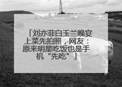 刘亦菲白玉兰晚宴上菜先拍照，网友：原来明星吃饭也是手机“先吃”