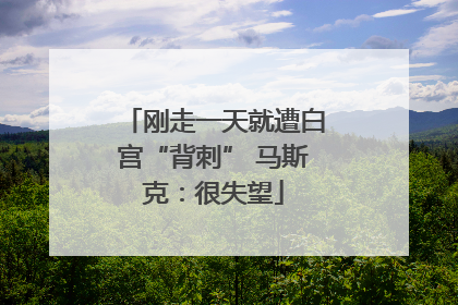 刚走一天就遭白宫“背刺” 马斯克：很失望