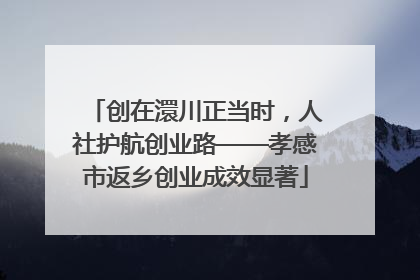 创在澴川正当时，人社护航创业路——孝感市返乡创业成效显著