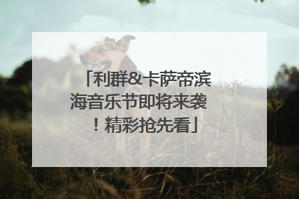利群&卡萨帝滨海音乐节即将来袭！精彩抢先看