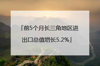 前5个月长三角地区进出口总值增长5.2%