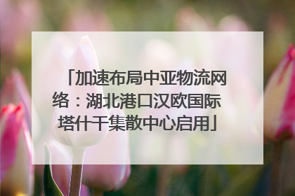 加速布局中亚物流网络：湖北港口汉欧国际塔什干集散中心启用