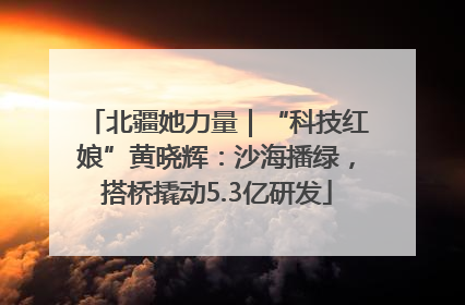 北疆她力量｜“科技红娘”黄晓辉：沙海播绿，搭桥撬动5.3亿研发