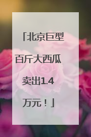 北京巨型百斤大西瓜卖出1.4万元！