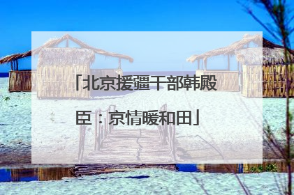 北京援疆干部韩殿臣：京情暖和田