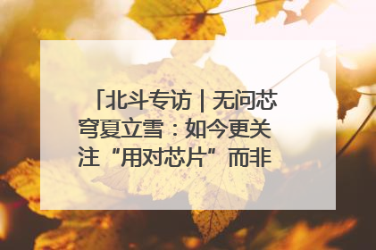 北斗专访｜无问芯穹夏立雪：如今更关注“用对芯片”而非“用贵芯片”